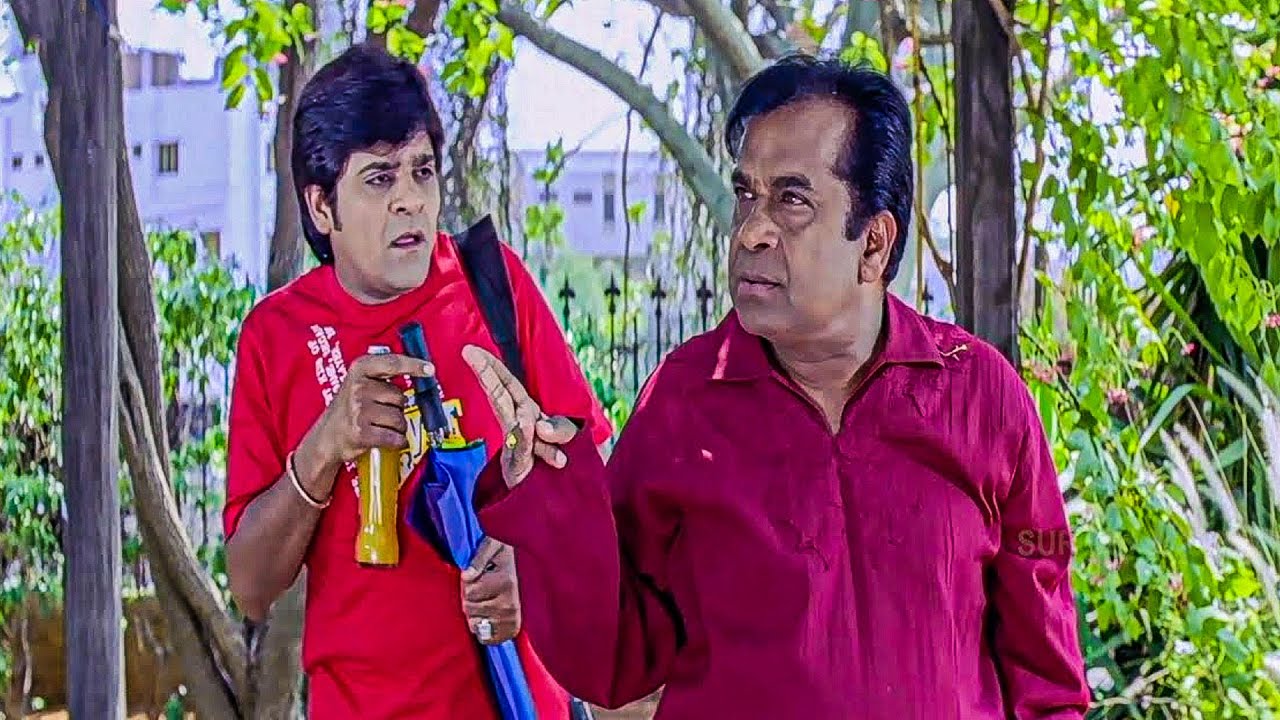 Brahmanandam  Comedy Scenes | Telugu Back to Back Comedy Scenes  | iDream
