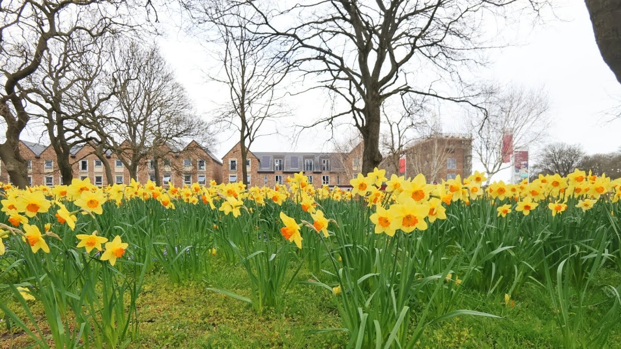 WEST PARK QUARTER, SUNDERLAND