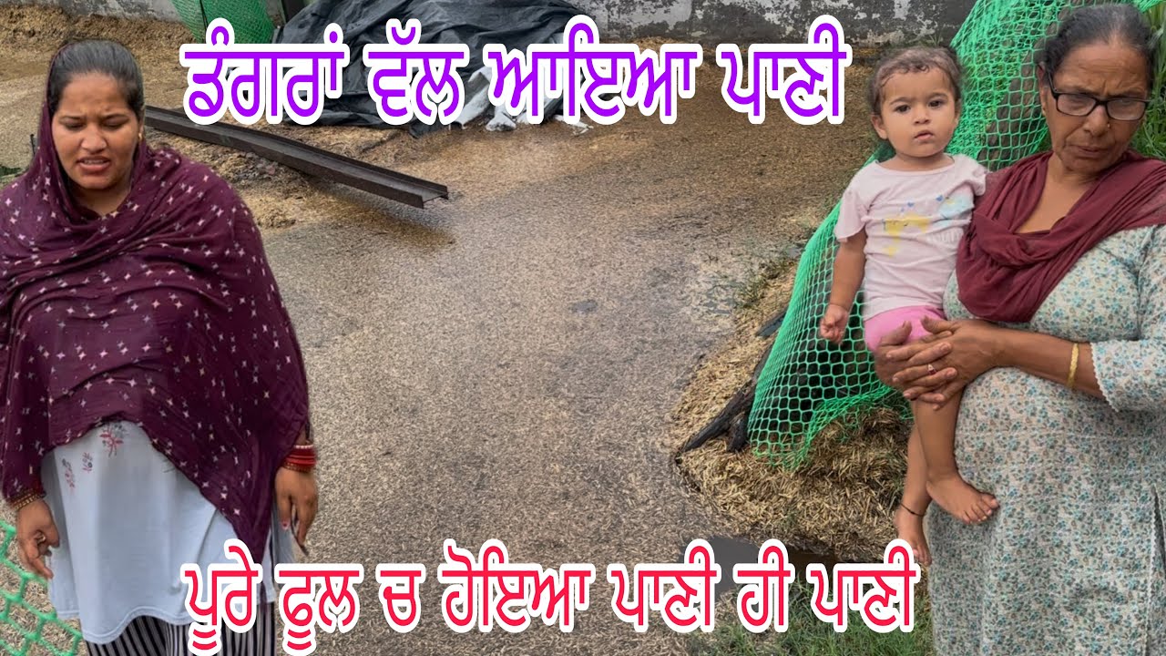 ਹੜ੍ਹ ਦਾ ਕਾਰਨ ਬਣ ਸਕਦਾ ਪਾਣੀ, ਜਾਨਵਰ ਵੀ ਨਿੱਕਲ ਪਏ ਮੀਂਹ ਚ @jasminmahalvlogs7754