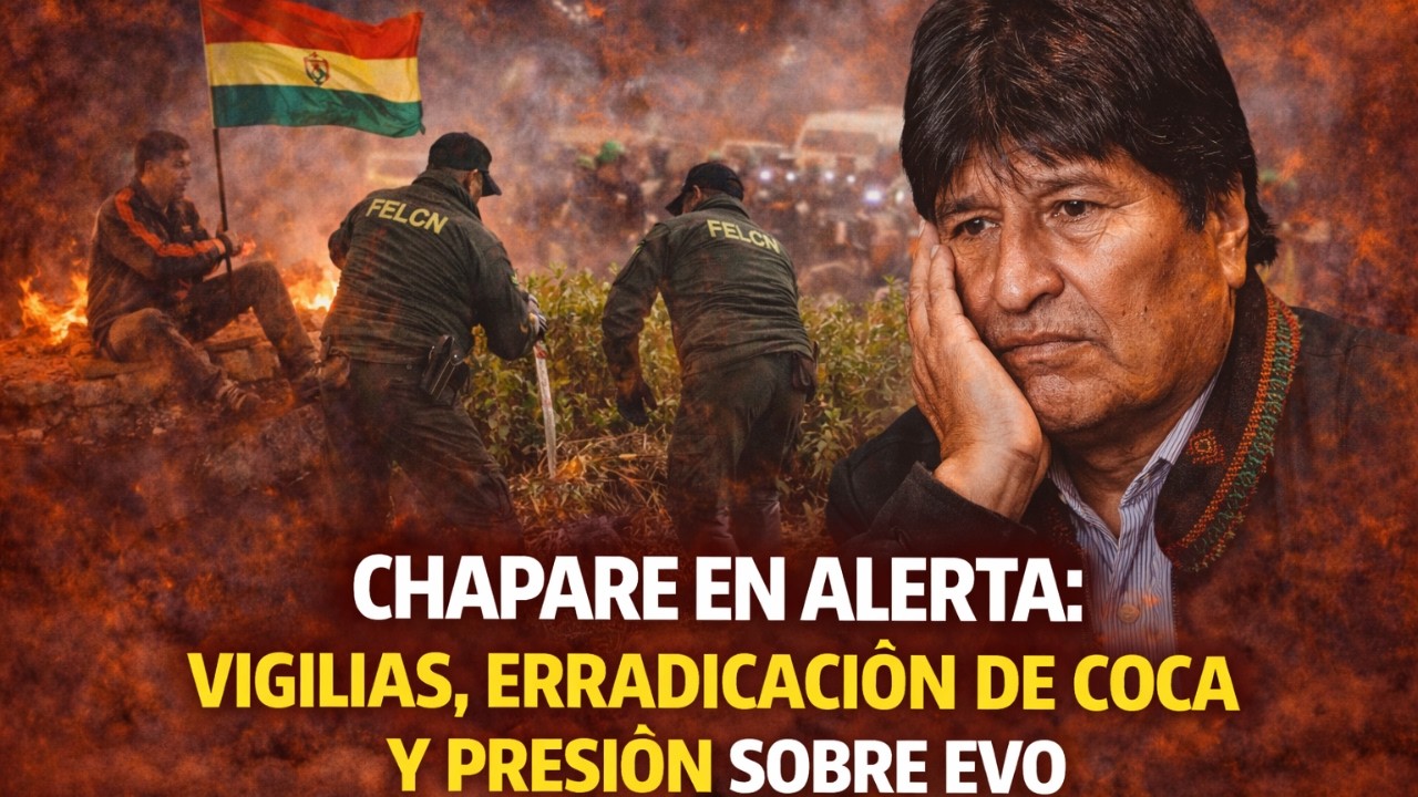 Chapare en alerta: vigilias, erradicación de coca y presión sobre Evo | El Avispero