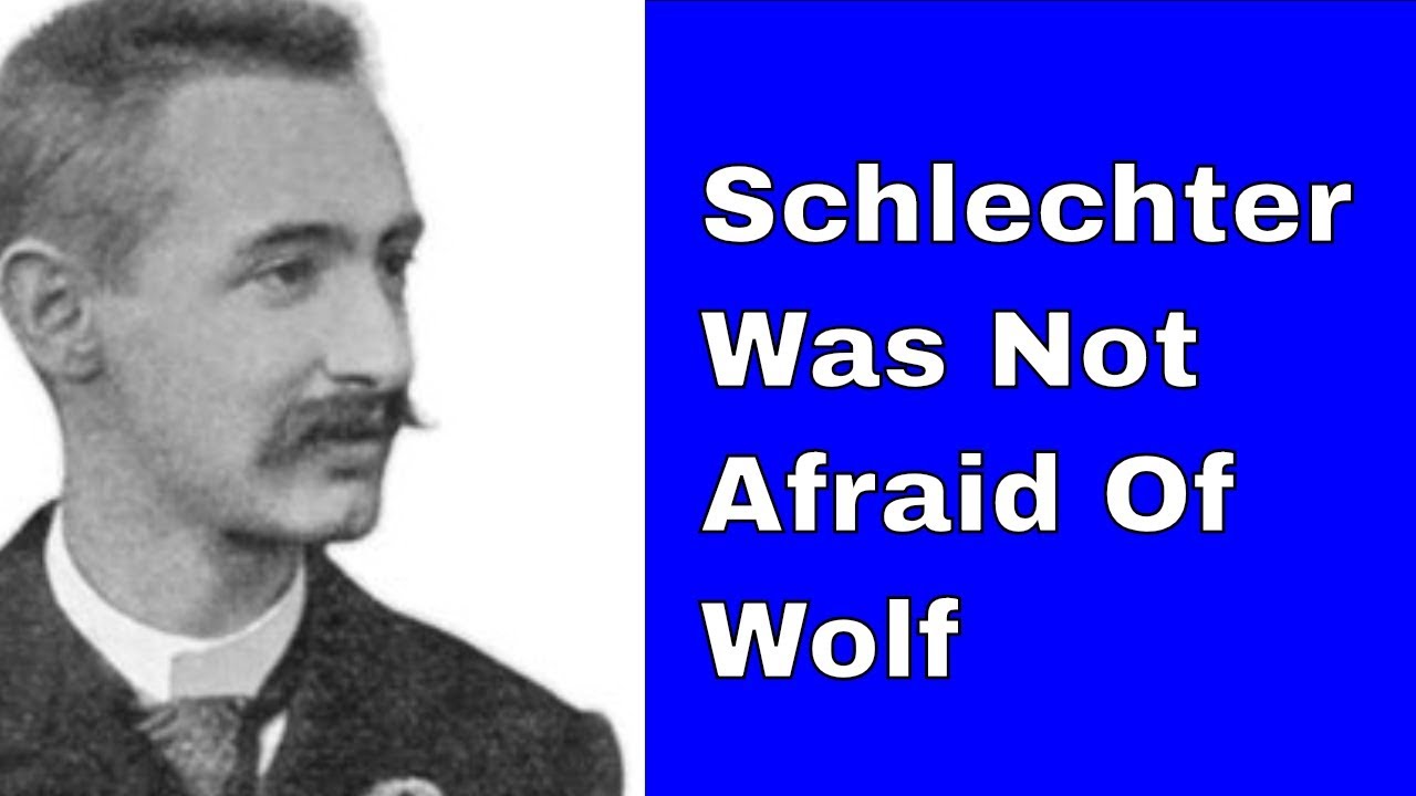 The art of the attack on | Demolition of the pawn structure | Schlechter vs Wolf: Vienna 1894