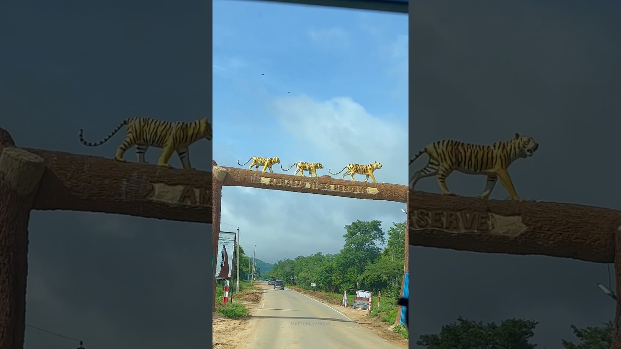 Amrabad Tiger🐅 Reserve - Srisailam🕉️ Reservior