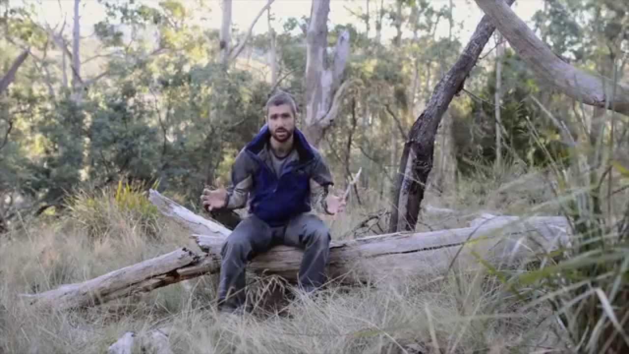 'The Black War: Fear, Sex and Resistance in Tasmania' by Nicholas Clements