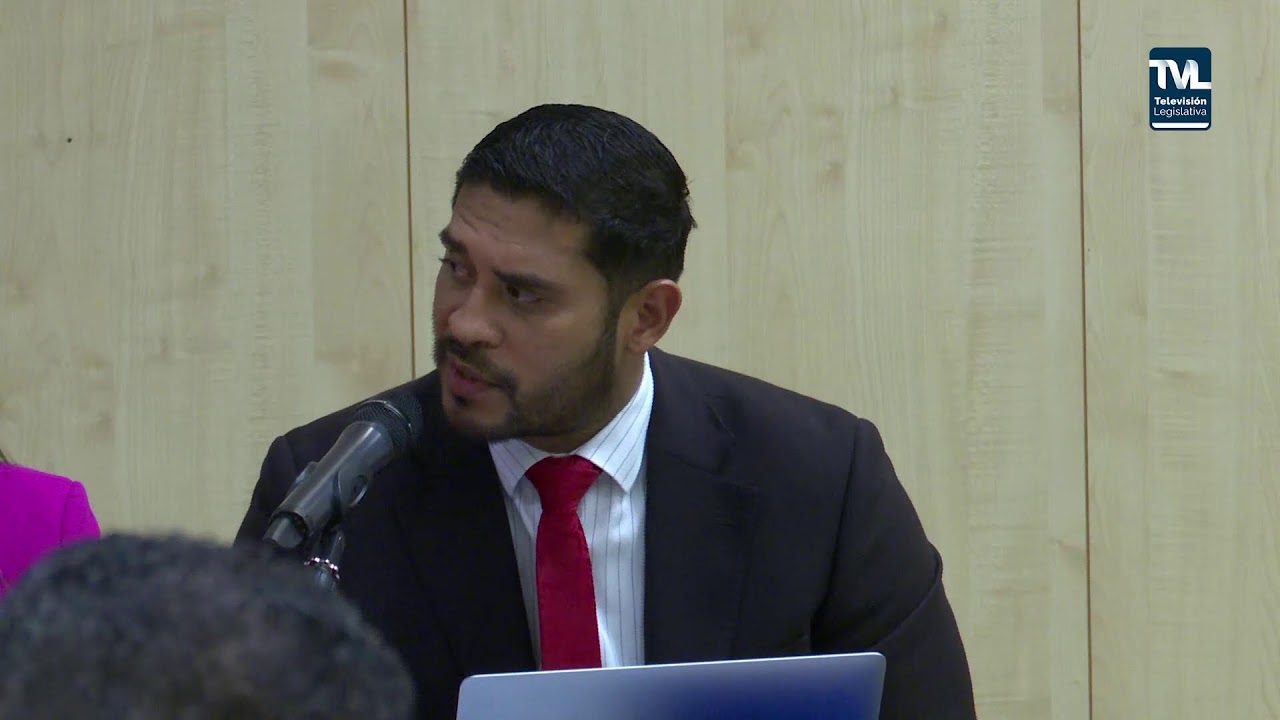 COMISION DE COMERCIO Y ASUNTOS ECONOMICOS