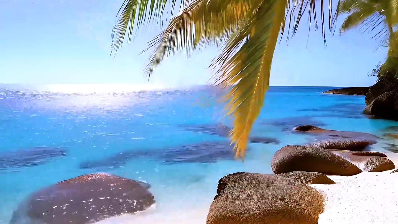 Easy Listening Reggae for Quiet Evenings and Focus | Soft Rhythms to Unwind and Concentrate