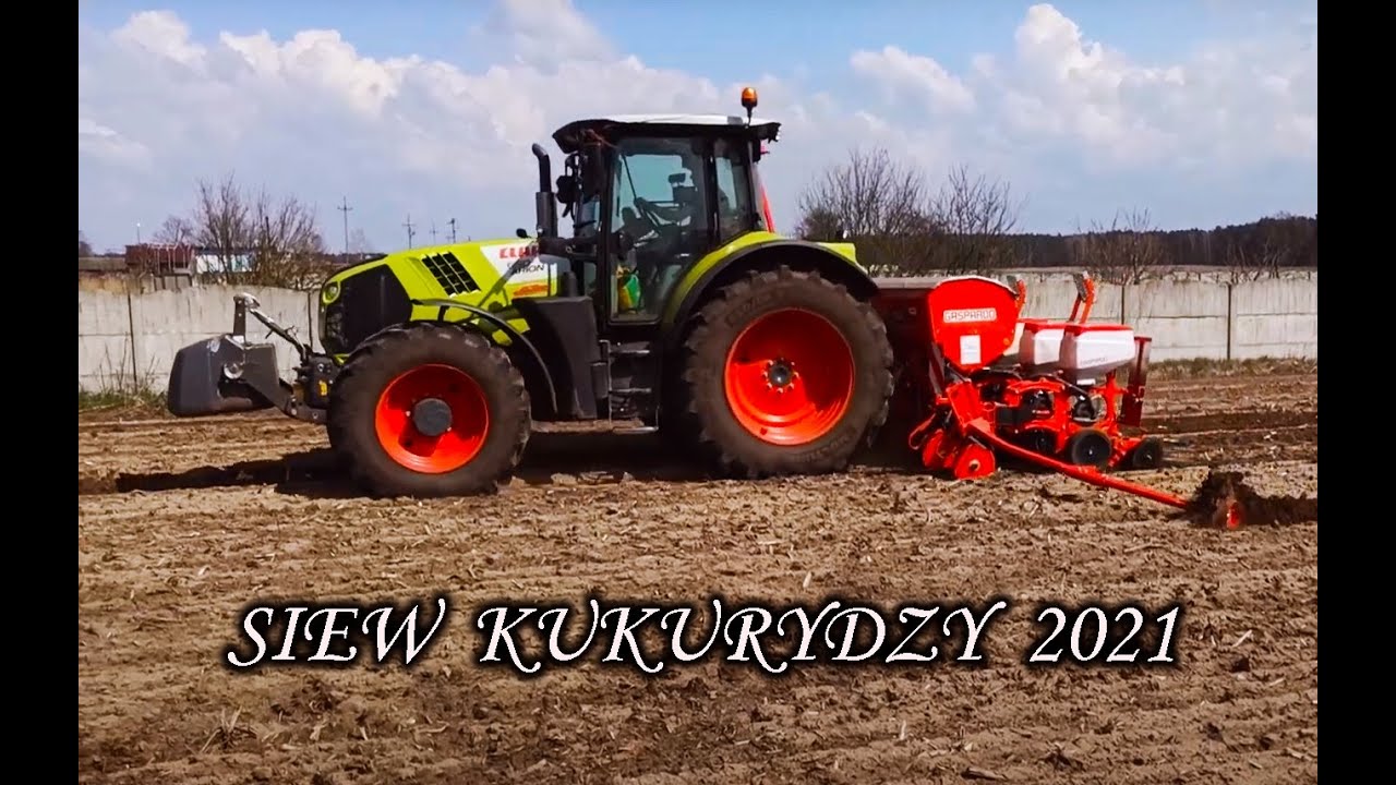Nowy nabytek Maschio Gaspardo MTE 300 | Siew Kukurydzy 2021