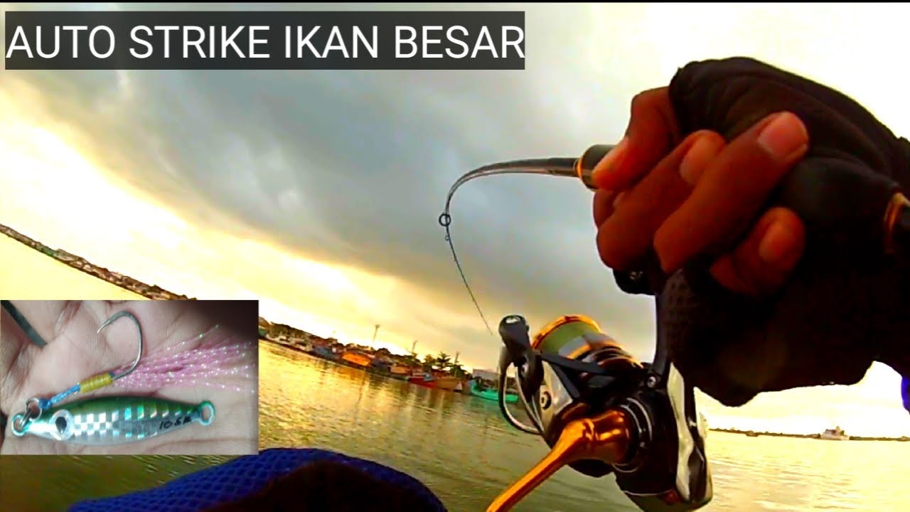 Cara Mancing Menggunakan Umpan Micro Jig - strike ikan besar