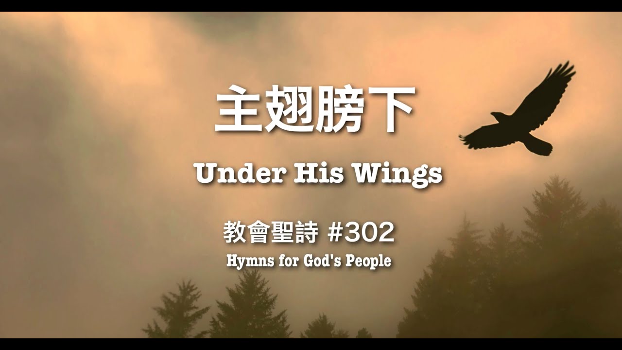302 主翅膀下 UNDER HIS WINGS