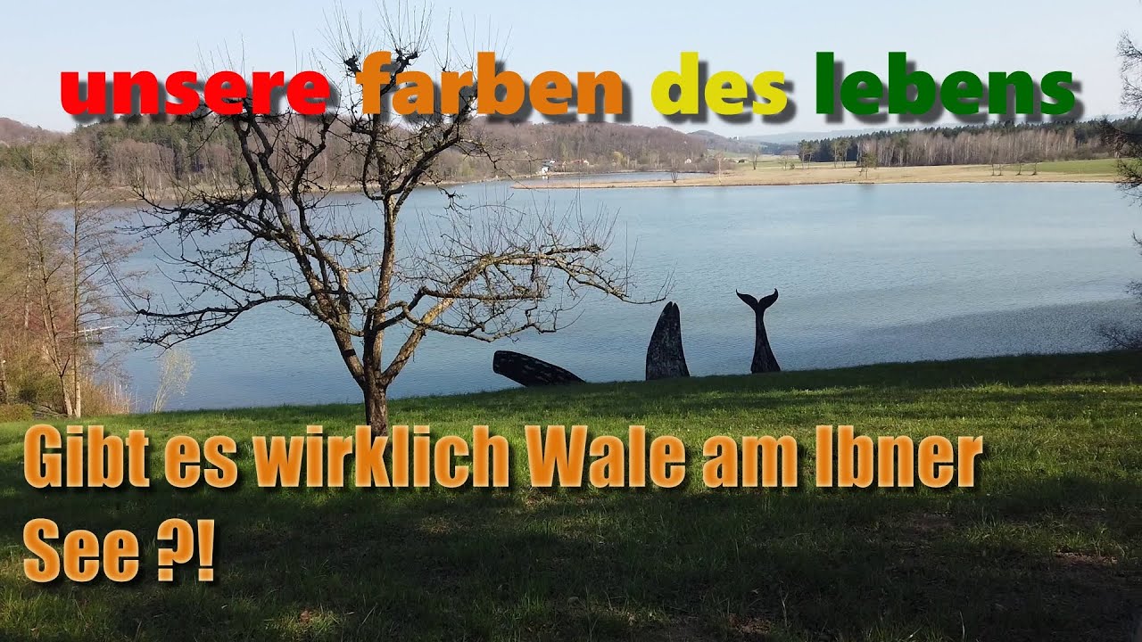 #Holzöstersee #Wohnmobil #Outtakes #vanlife #camping #Österreich #lgtbi