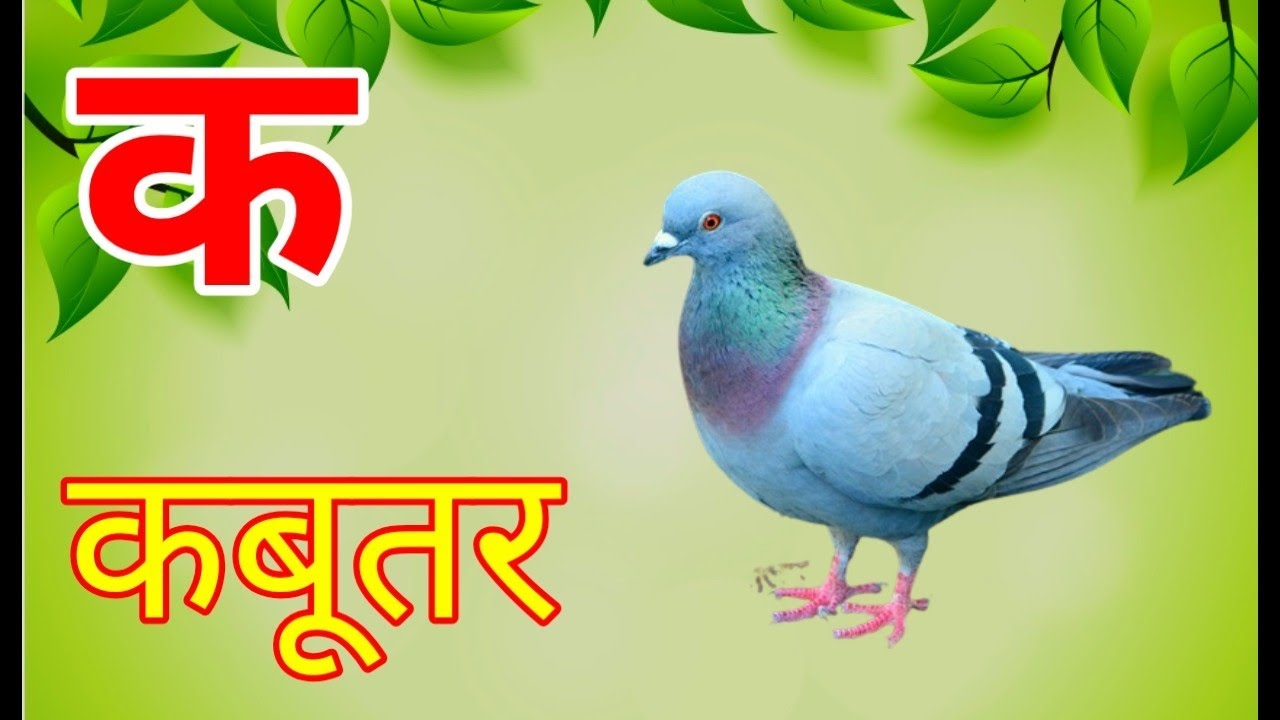 अ से अनार आ से आम | क से कबूतर | पूरी हिंदी वर्णमाला अ से ज्ञ तक | Hindi Varnamala for Kids