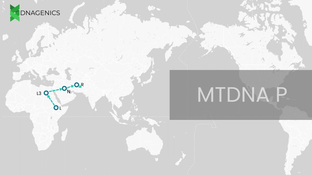 MTDNA P - DNAGENICS