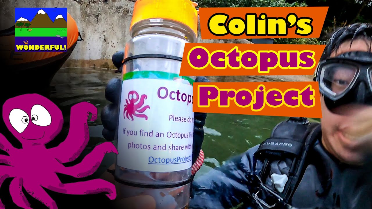 Colin's Octopus Project == Join Us to Help Create Homes & Raise Awareness for Octopus Conservation