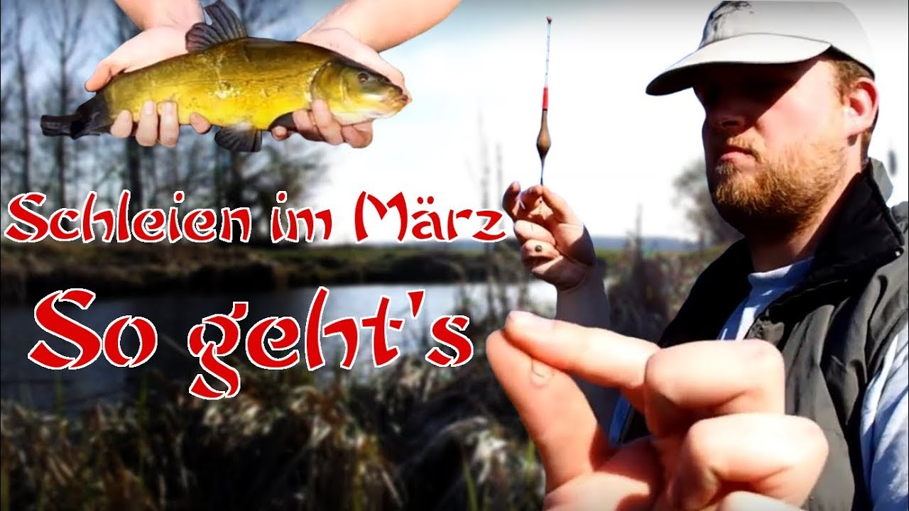 Schleienangeln im März!  So kommt Ihr zum Fisch.