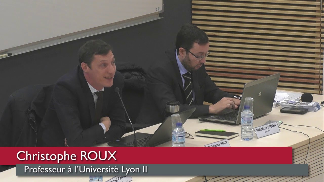 Mise en concurrence du domaine public :  Regards français