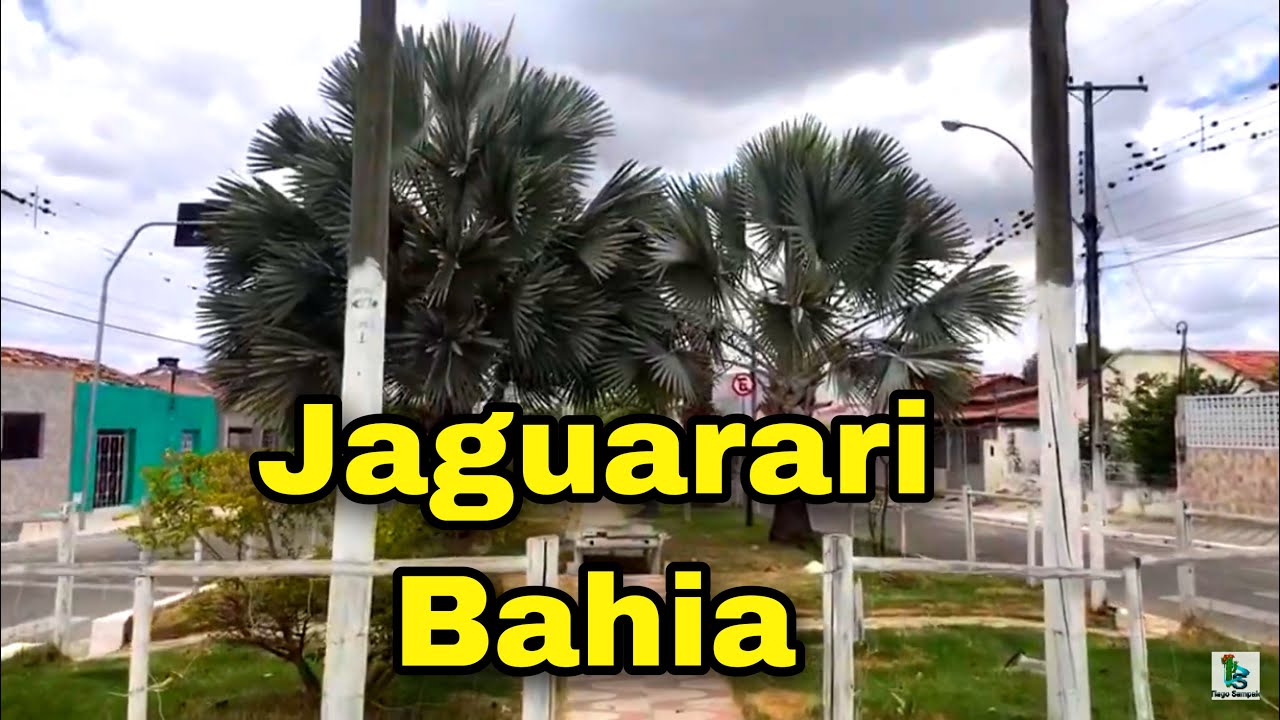 Conhecendo a Cidade de Jaguarary Bahia AO VIVO