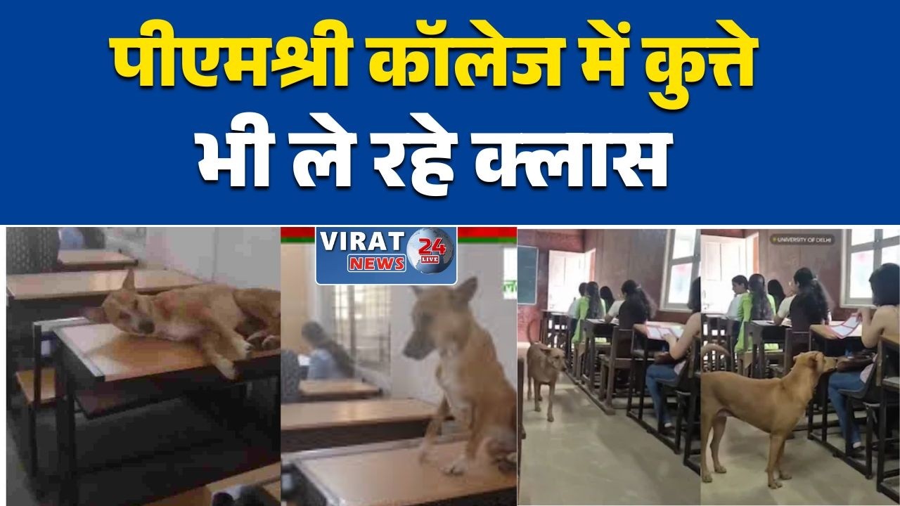 सतना के पीएमश्री कॉलेज में क्लास के बीच बेंच पर सोता रहा कुत्ता
