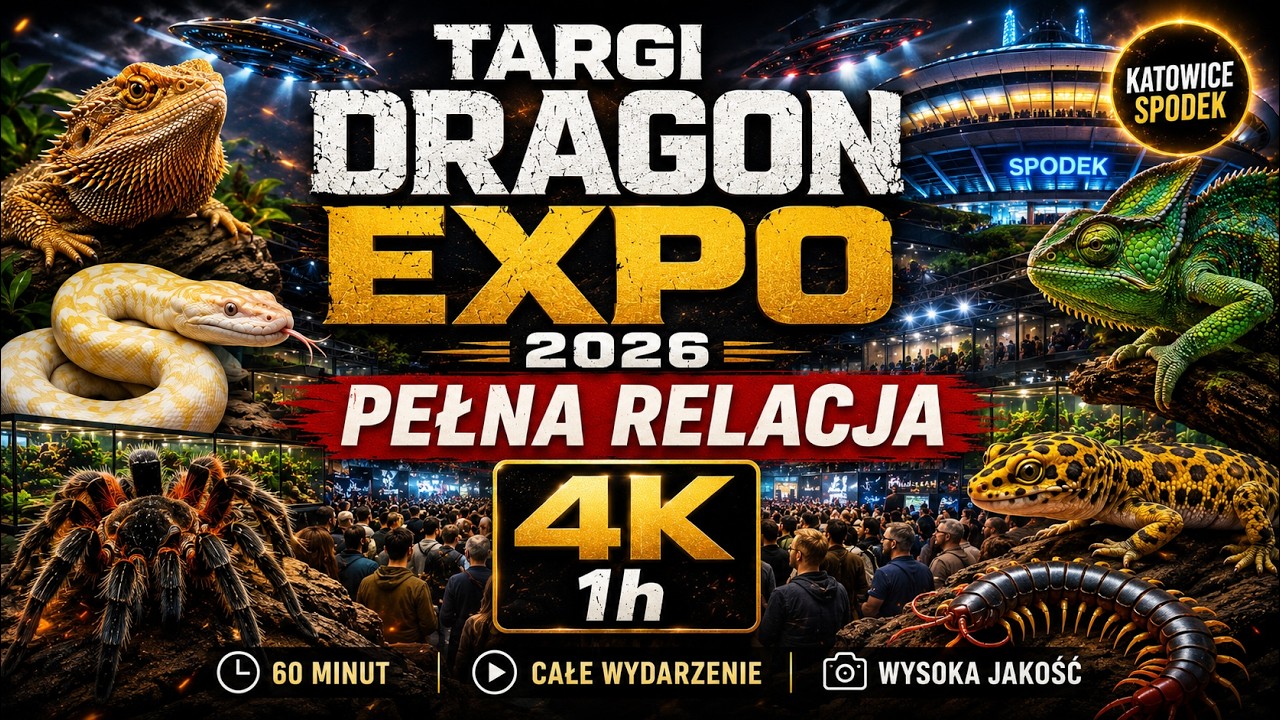 🦎 Targi Terrarystyczne Dragon Expo 2026 | PEŁNA RELACJA 4K