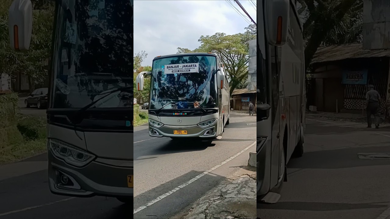 Bus Budiman Eksekutif Single Glass #bus #busmania #automobile #basuri #telolet #shorts #fyp #viral