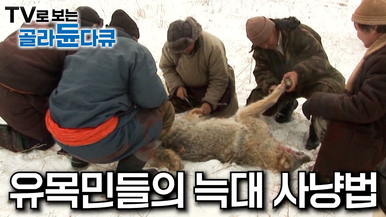 영하 30도, 혹한 추위 속 늑대와의 전쟁은 시작되었다｜몽골 유목민의 가축을 사냥한 야생 늑대의 최후｜숨소리조차 들리지 않는 극한의 늑대 사냥 현장｜극한직업｜#골라듄다큐