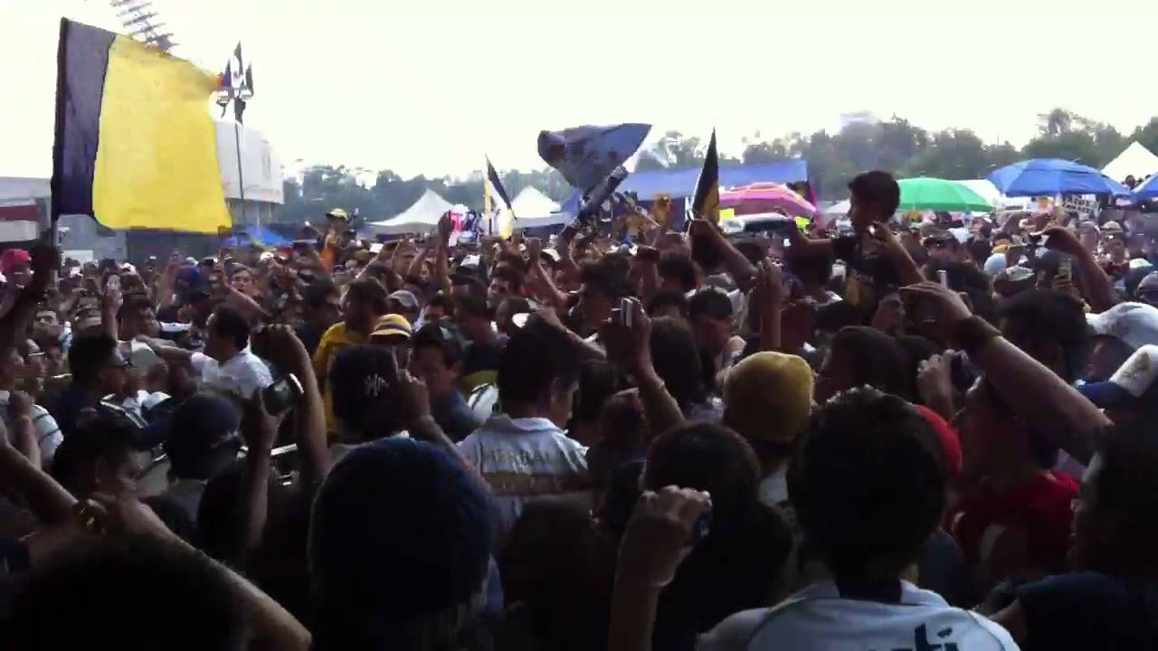 Carnaval REBEL PUmas UNAM