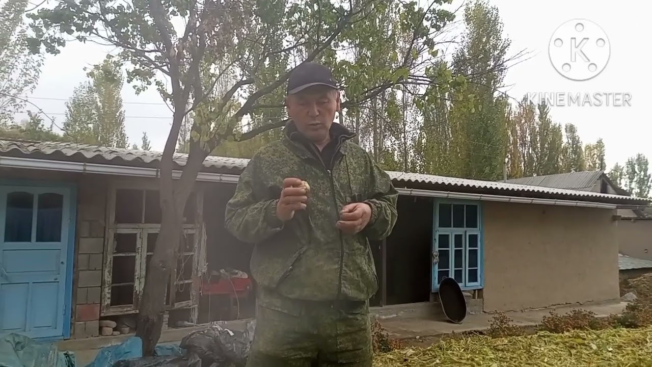 УЙ ШАРТЫНДА СИЛОСТУ КАНДАЙ ДАЯРДАШ КЕРЕК