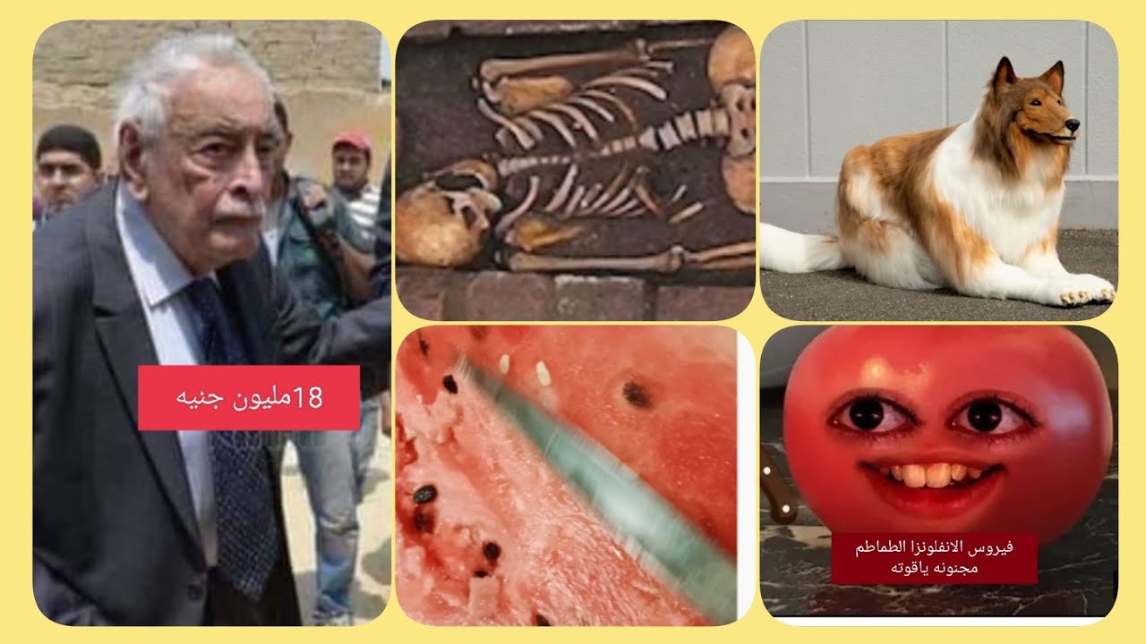 مسلمه بايطاليا تعتراض على الجواز بلاش كدا ( خلايا  سيد خالده للابد_وشتب يتحول الى كلب بعملية تجميل