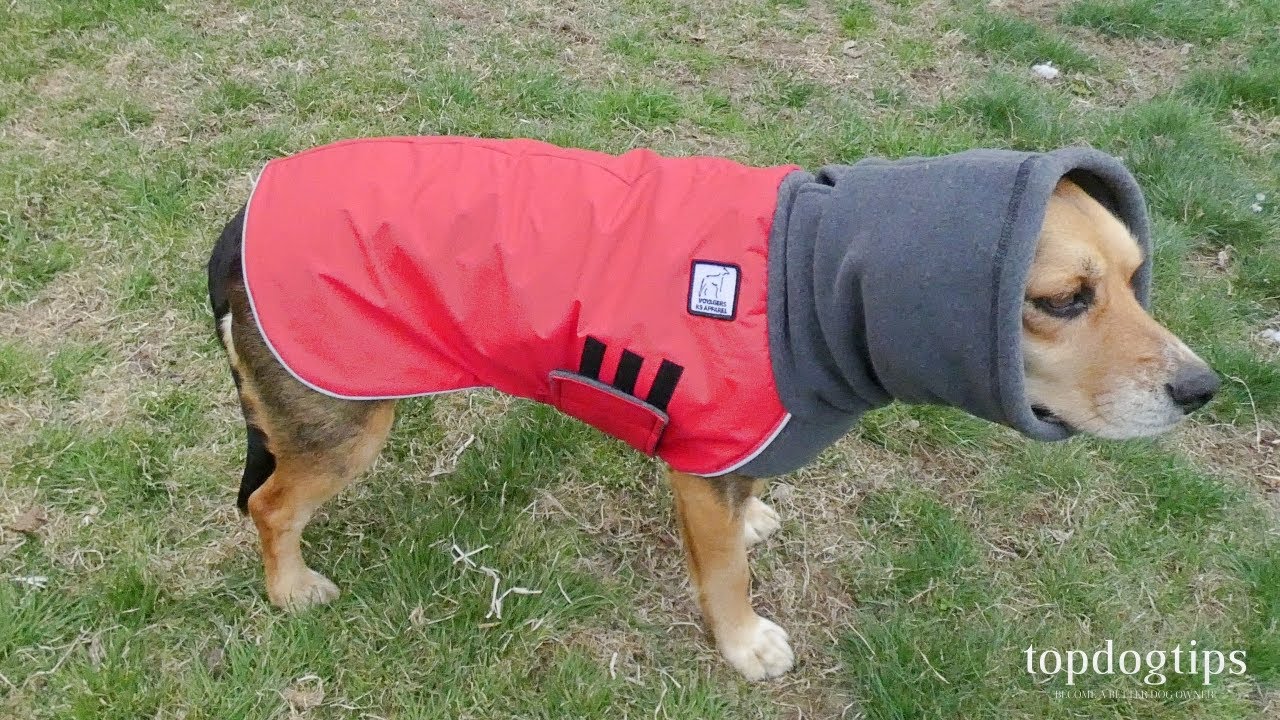 Voyagers K9 Apparel Dog Coat Review