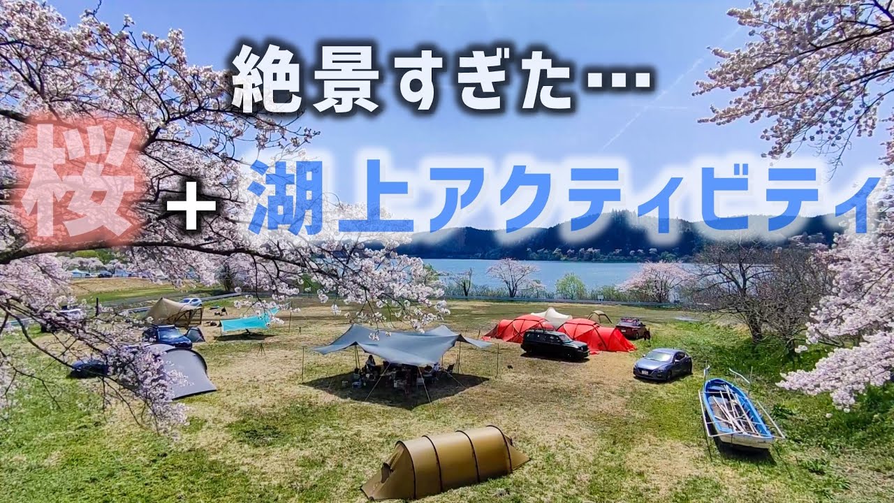 桜満開の4月！花山青少年旅行村キャンプ場