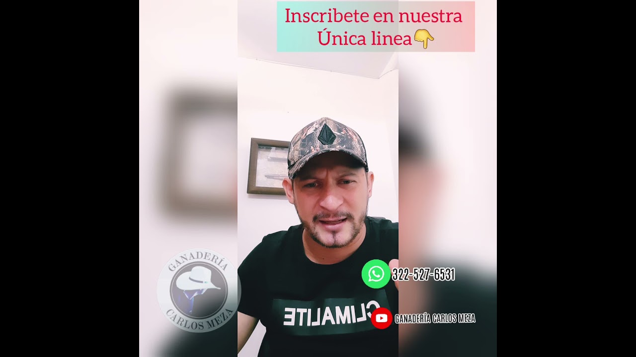 Venta de Ganado en Antioquia