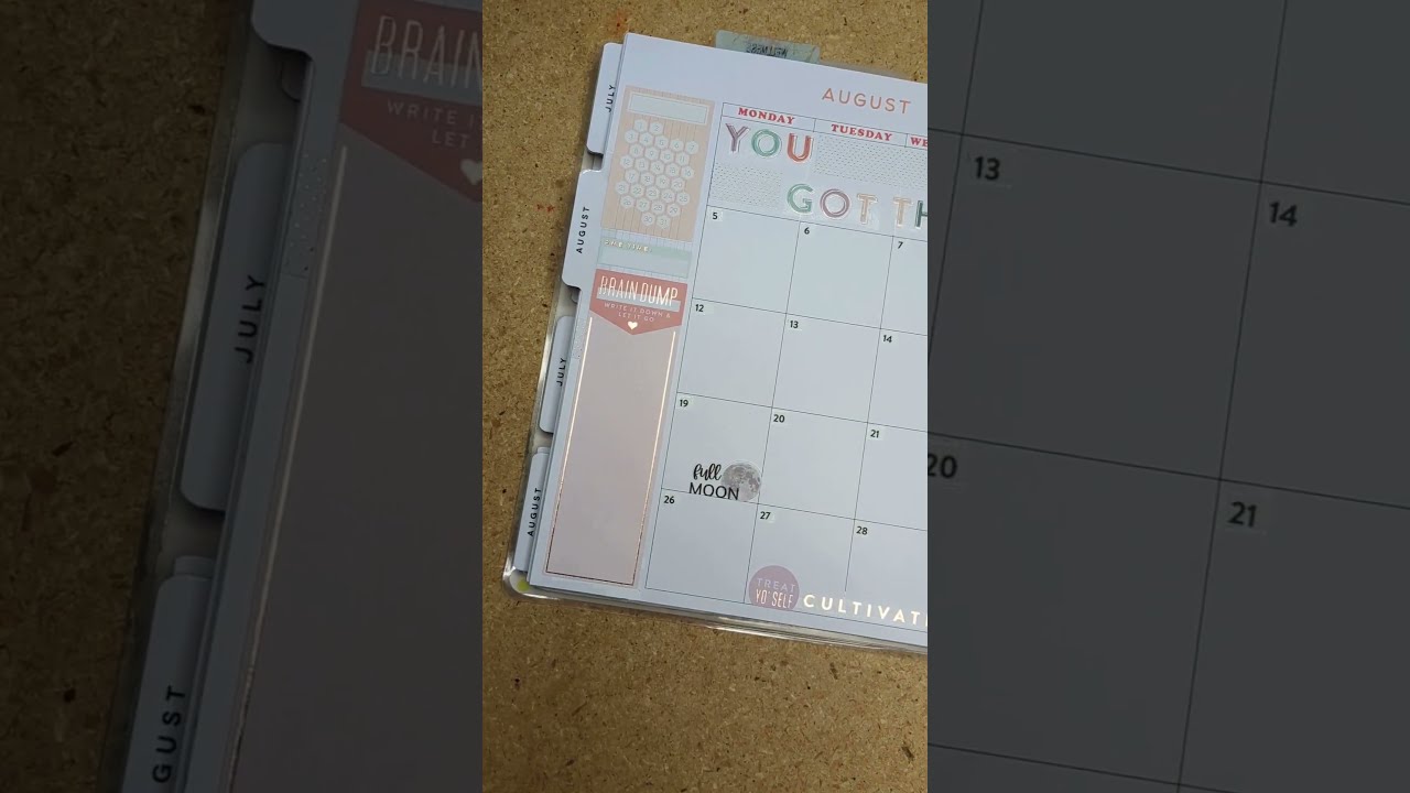 Wellness Happy Planner Monthly Layout Plan With Me #happyplanner #plannercommunity #planning
