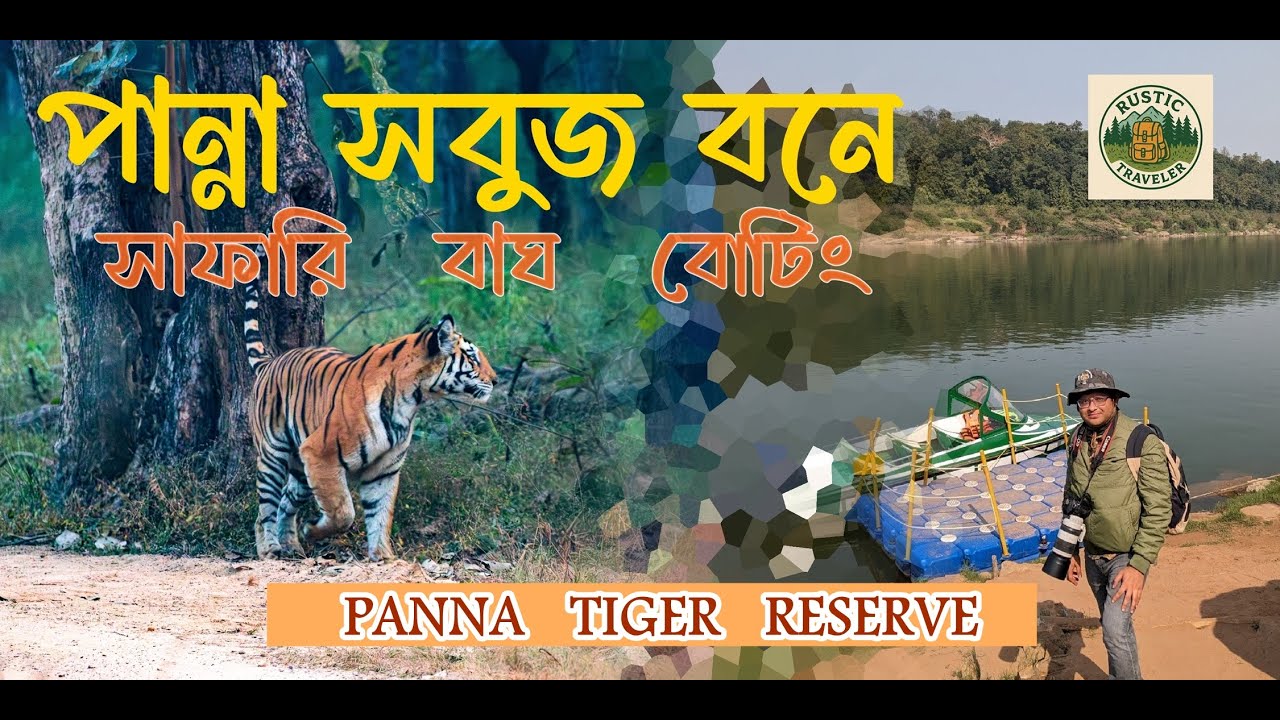 পান্না সবুজ বনে: Wildlife trip @ Panna Tiger Reserve, Madhya Pradesh
