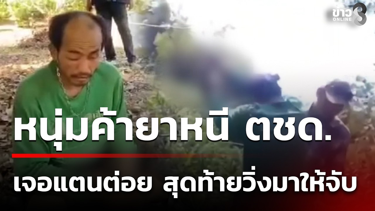 หนุ่มค้ายาหนี ตชด. มุดเข้าป่าเจอรังแตนรุมต่อยยับ วิ่งกลับมาให้จับ | 28 ก.พ. 69 | คุยข่าวเย็นช่อง8