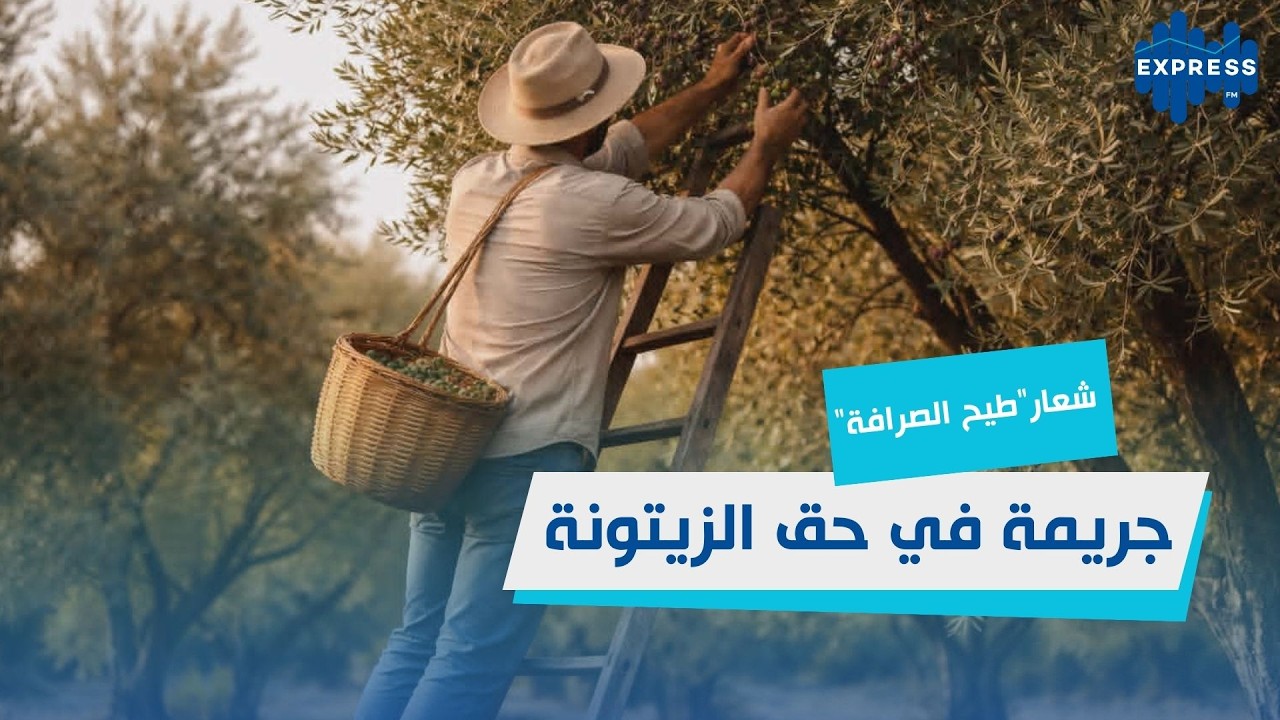 شعار