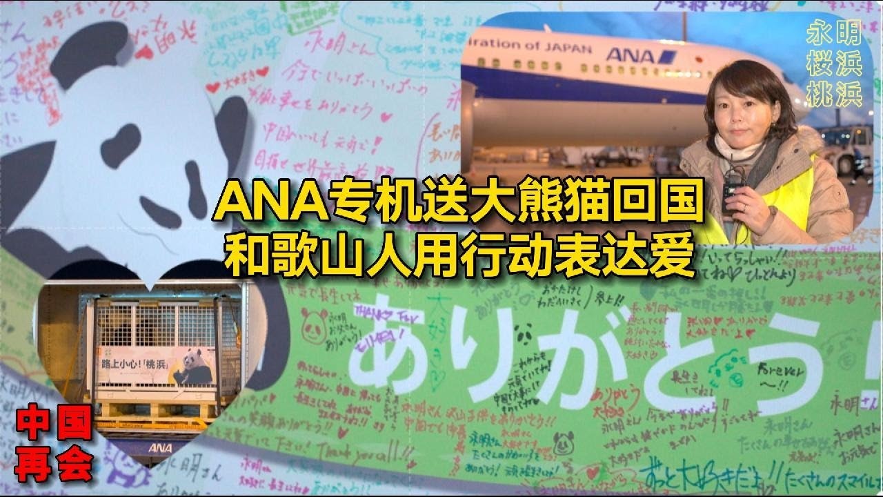 ANA专机送大熊猫回国 和歌山人用行动表达爱#宋看看#日本