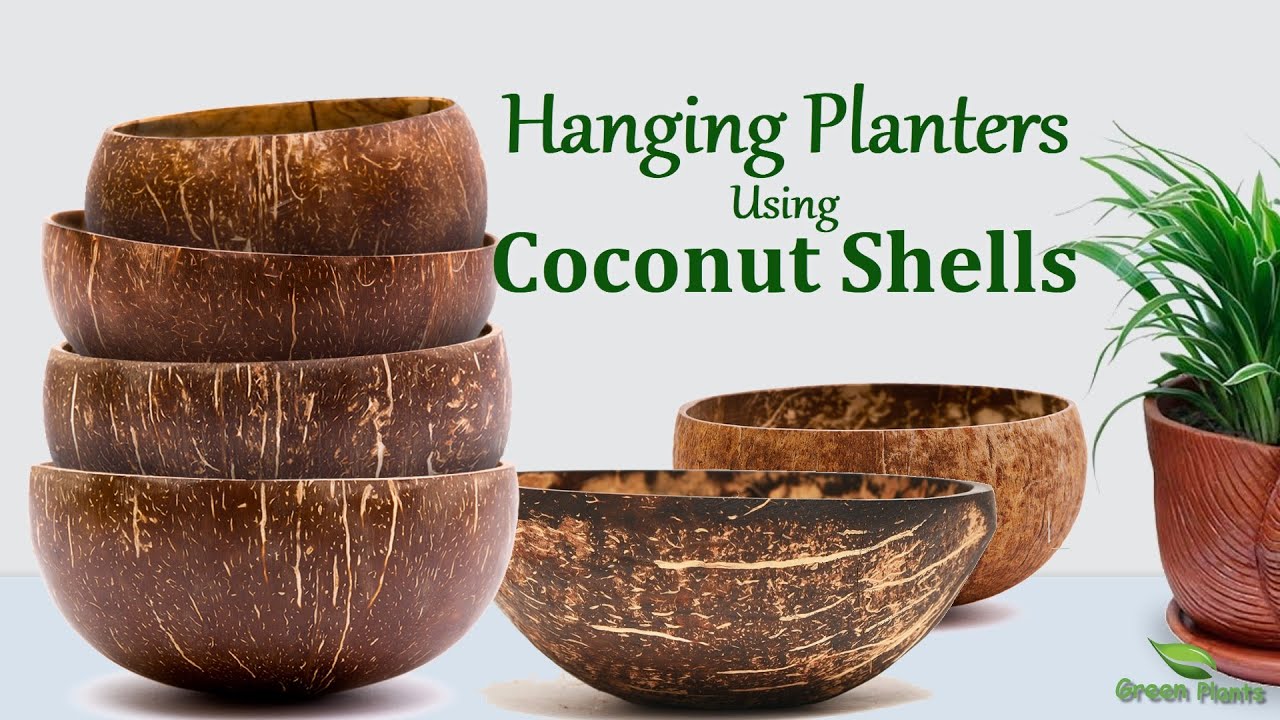 Unique Hanging Planter Ideas Using Waste Material | Coconut Shell Hanging Plants Pots//GREEN PLANTS