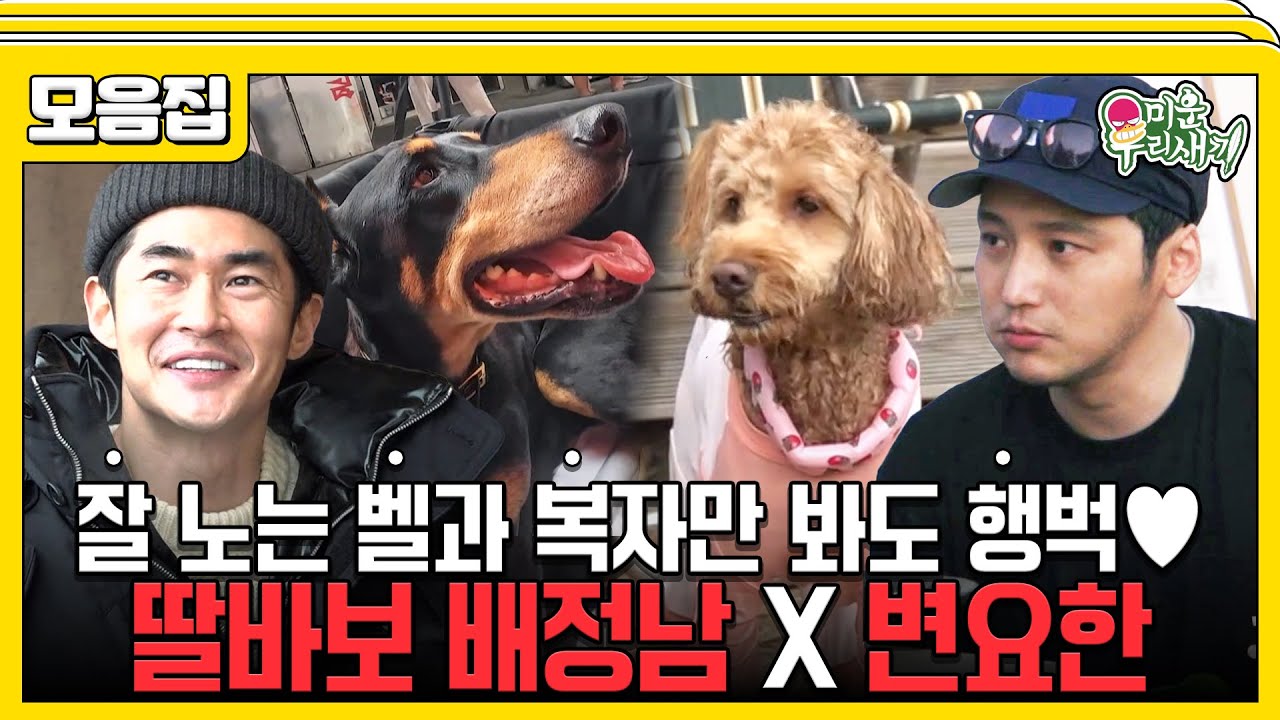 [#습콕📌] 벨과 복자를 위해서 못 해줄 것이 없는 두 아빠❤️ 반려견과 함께 여행을 떠나는 배정남 X 변요한 모음🐶👒 #미운우리새끼 #MyLittleOldBoy #SBSenter