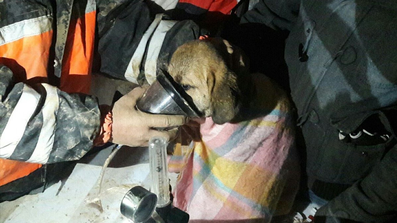 Bazı Hikâyeler Mutlu Sonla Biter: Günler Süren Mücadele, Dayanışma ve Kuyu'nun Kurtarılışı