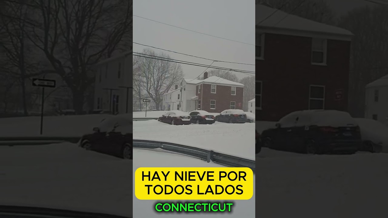 HAY NIEVE POR TODOS LADOS 
