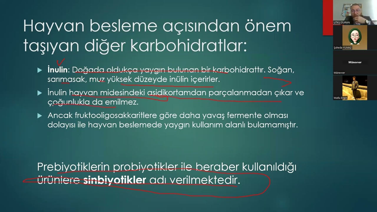 Hayvan Besleme ve Yem Bilgisi 7. Hafta