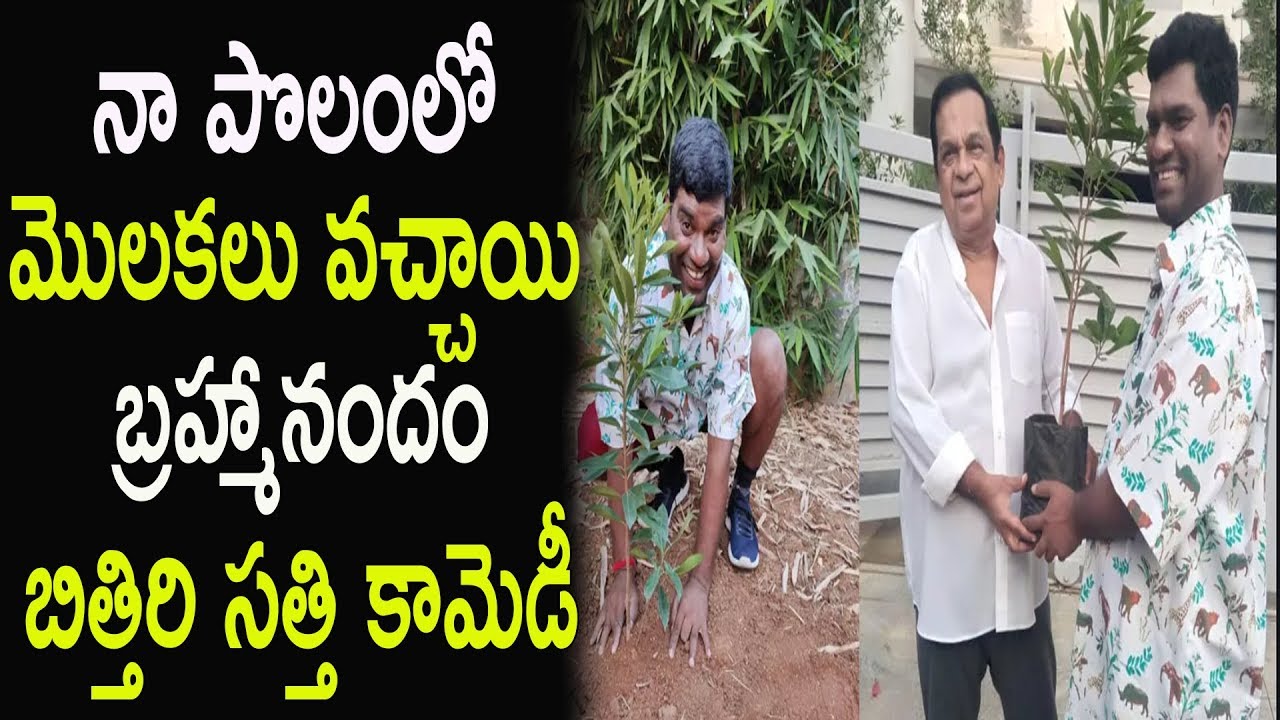 Bithiri Sathi and Brahmanandam Funny Green India Challenge|Dr.RK Goud| TFCCLIVE|TFCC.CLUB