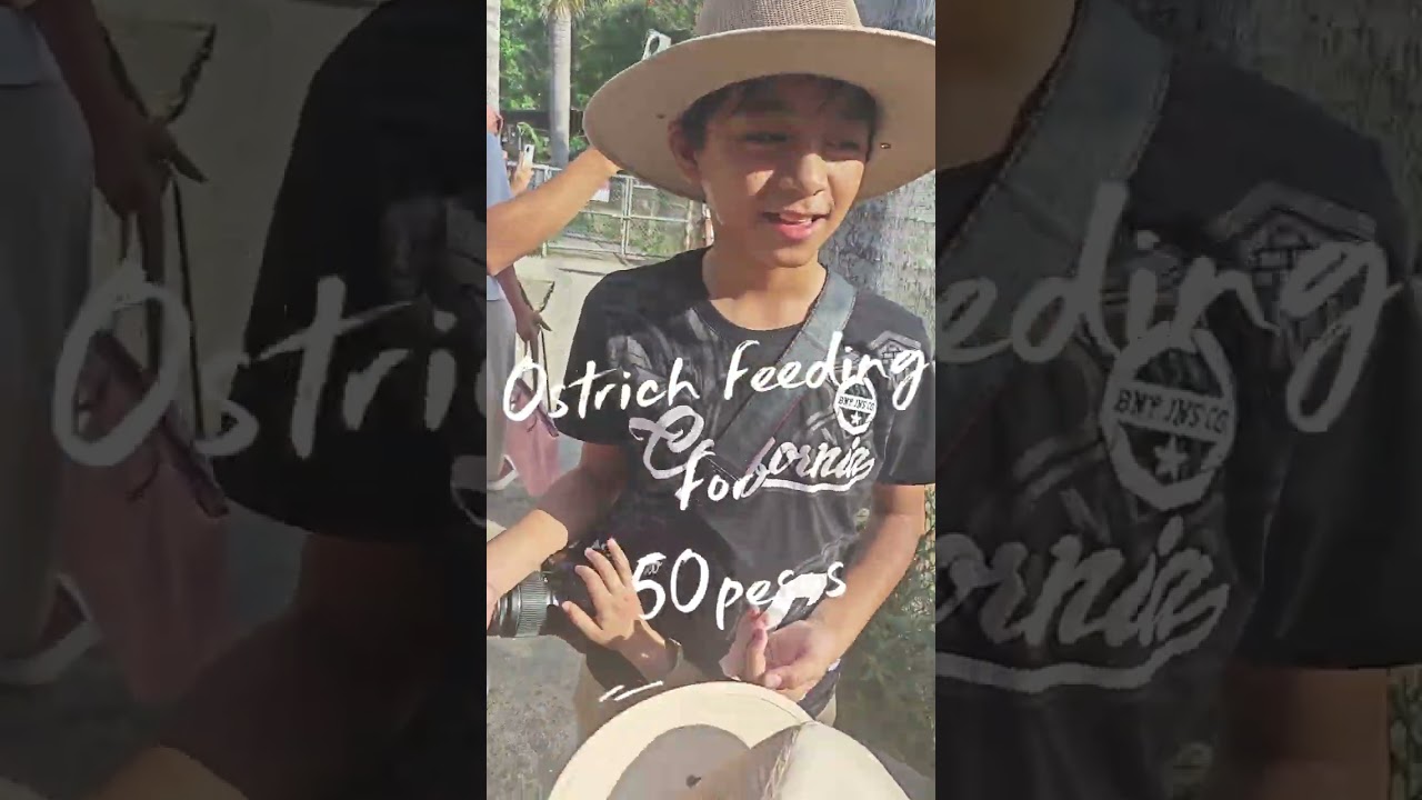Crocodile park Davao part 1 #viralreel #teambari #crocodileparkdavao #familyfun #waterpark 