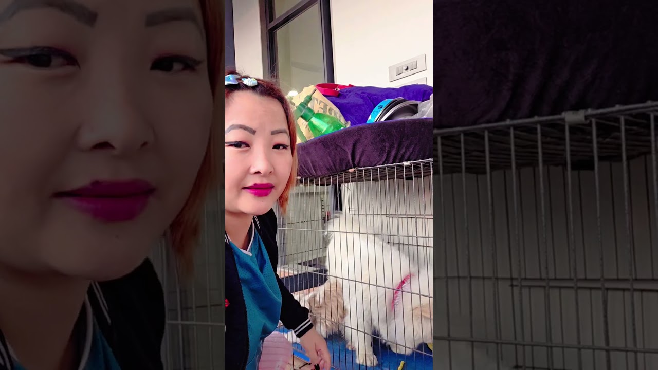 Today's vlog 😊❤️🫰 please subscribe and share 🙏 😊 ☺️ 