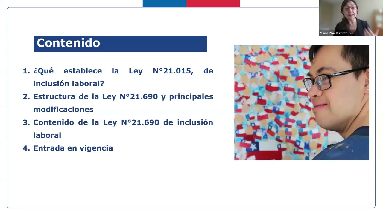 Webinar Inclusión laboral Ley 21 690 y alcances en el sector público