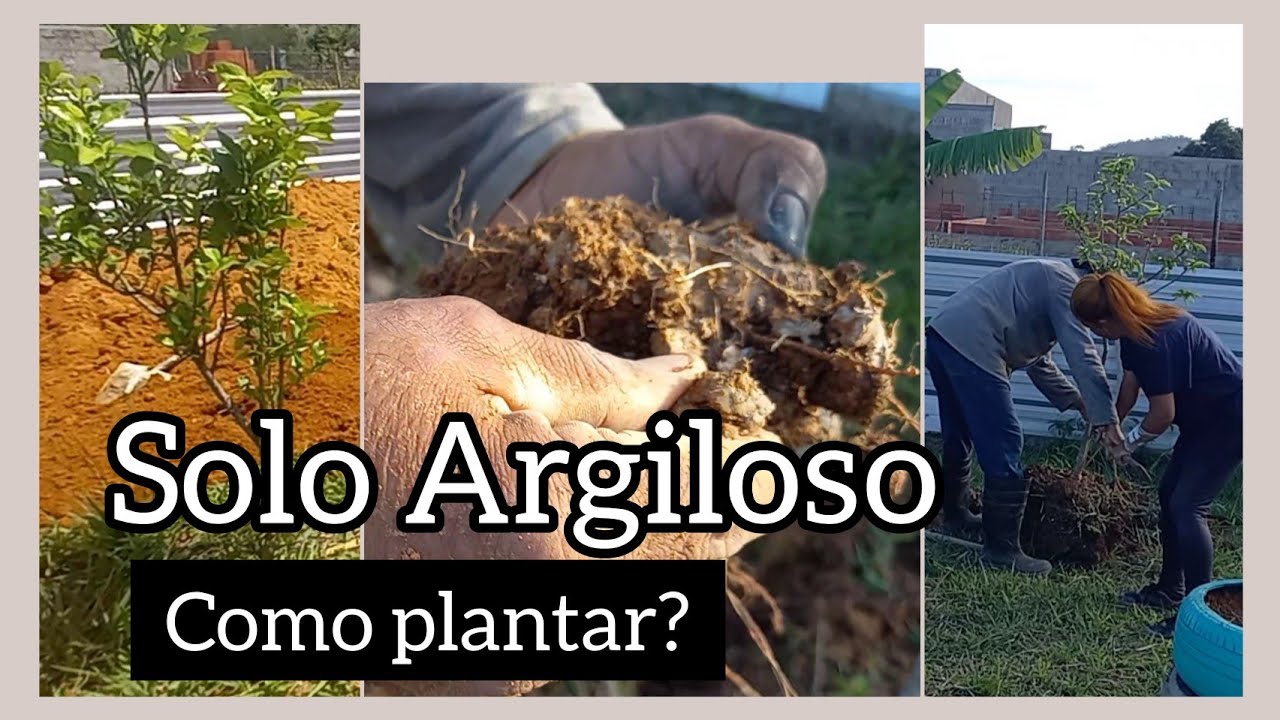 como plantar no solo Argiloso? você vai se surpreender! 