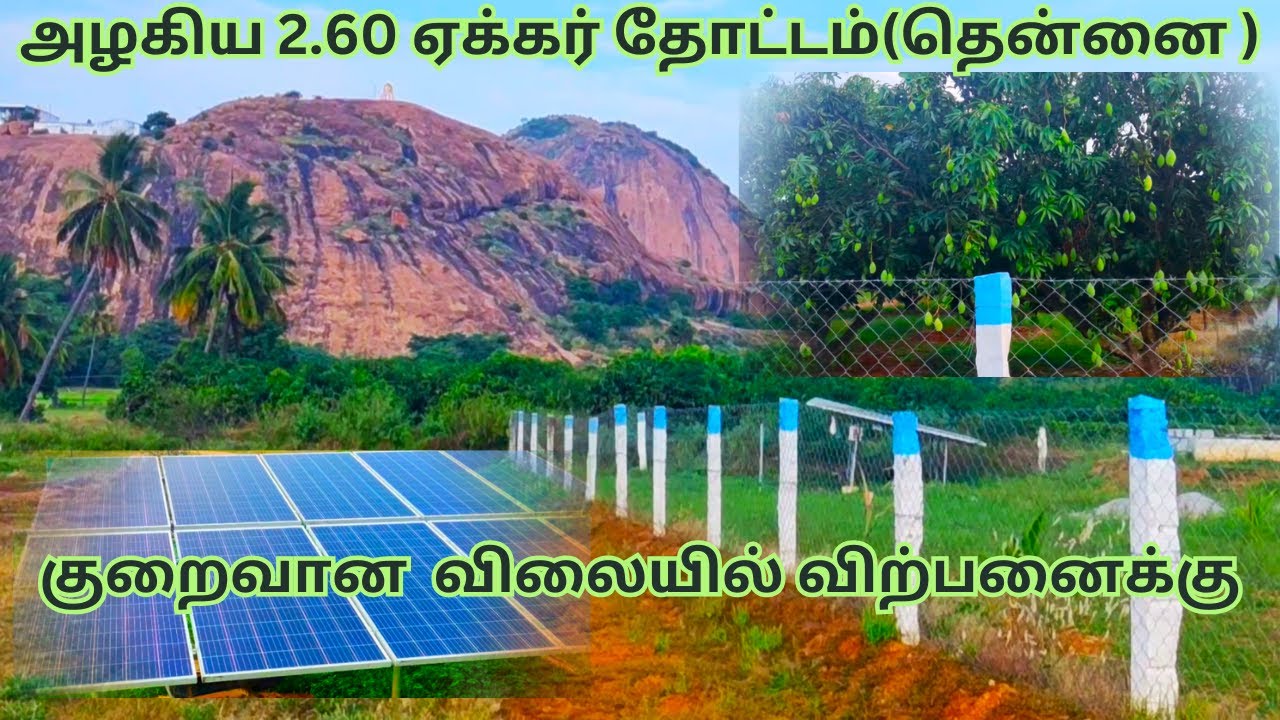 அழகிய 2.60 ஏக்கர் தோட்டம் தென்னை குறைவான விலையில் விற்பனைக்கு