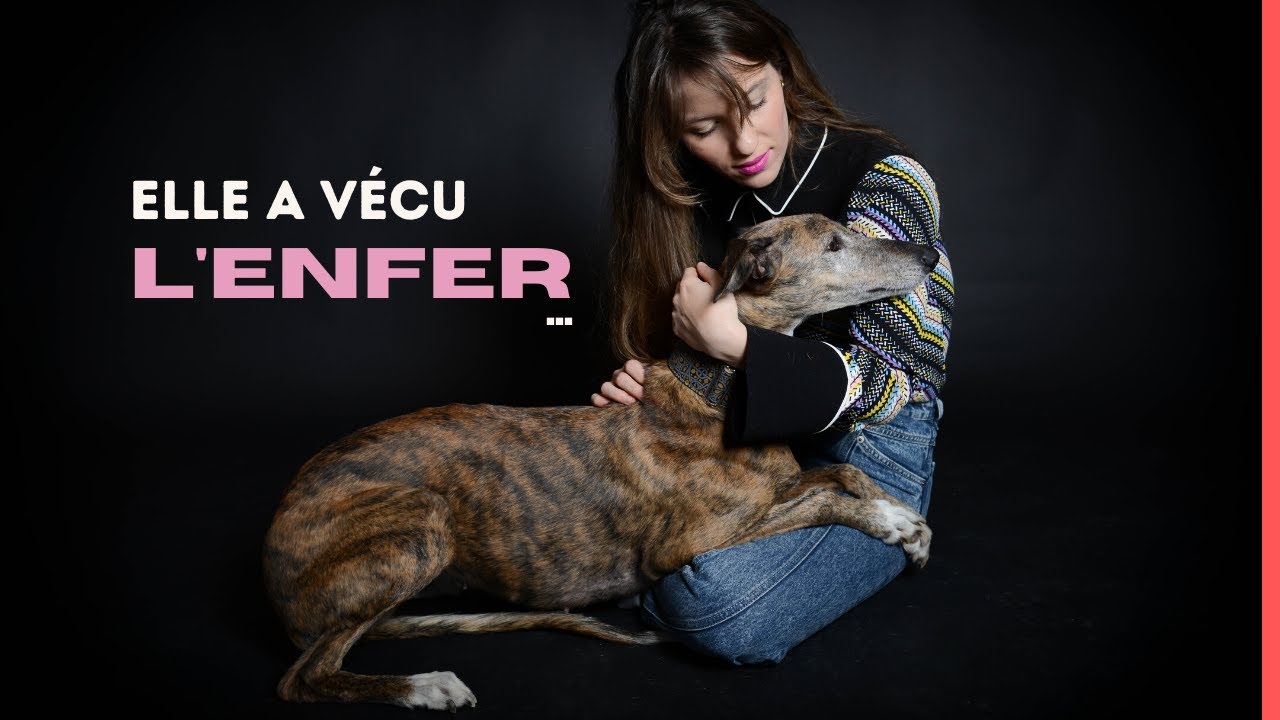 J'ai ADOPTÉ un chien #Galgo ! 🐶😭