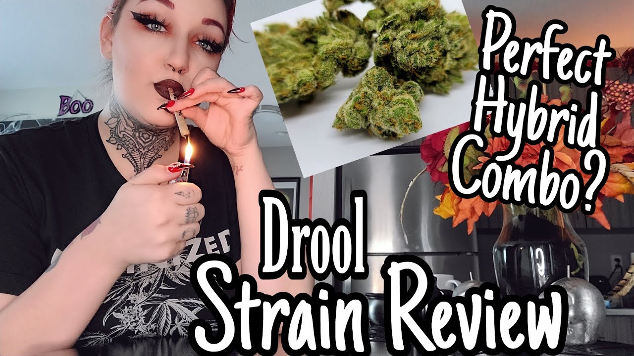Best Hybrid Strain?! | Strain Review | Drool By Doghouse Farms