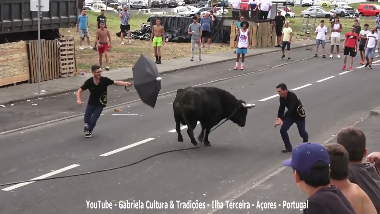 Ganadaria HF - Terra Ch&atilde; (Bairro) 2022 - Ilha Terceira - A&ccedil;ores