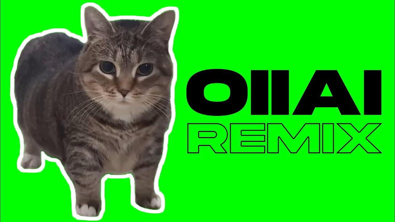 OIIAI (Dubstep/Trap/Midtempo Remix) [OIIA Spinning Cat Meme]