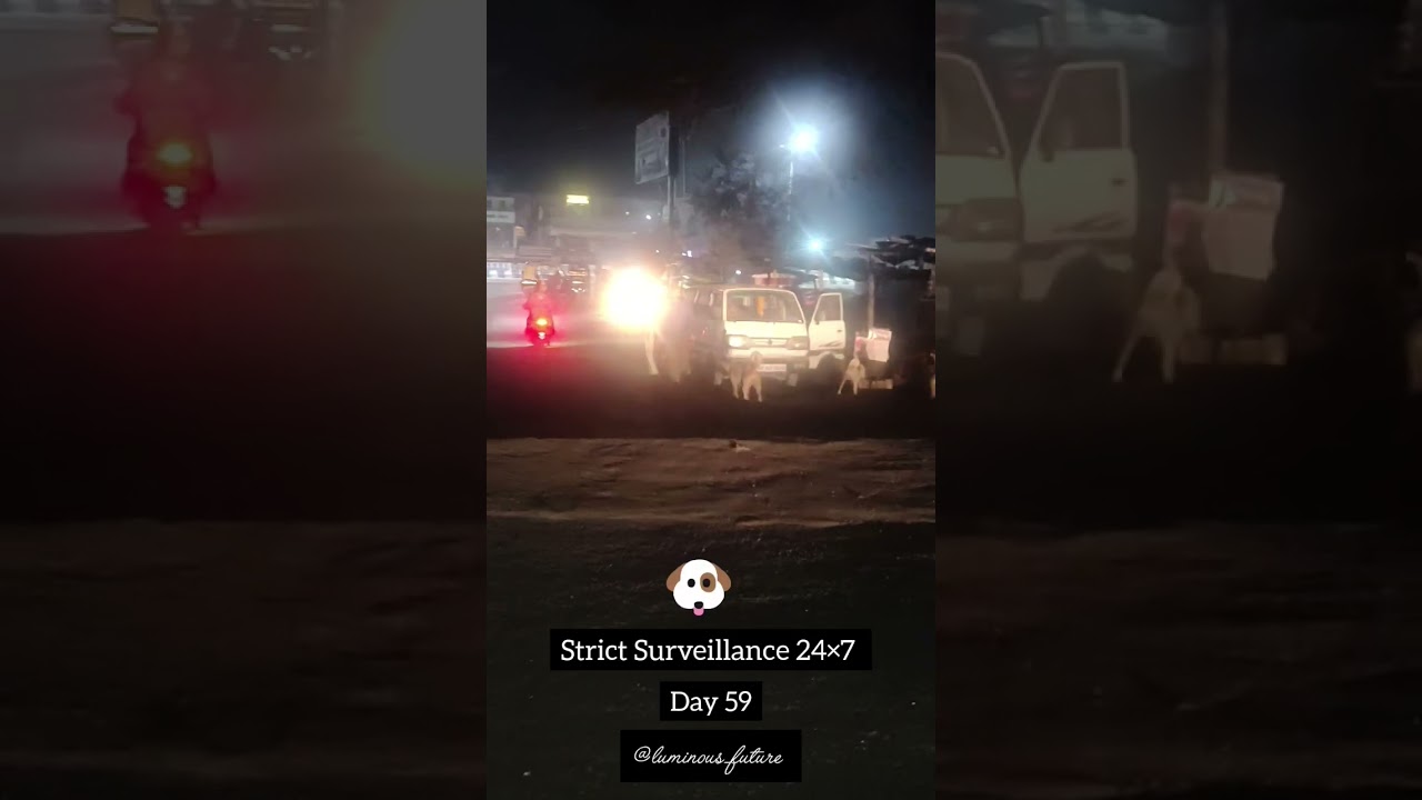 Protection you can count on, around the clock.🐶❤️ #24×7security 